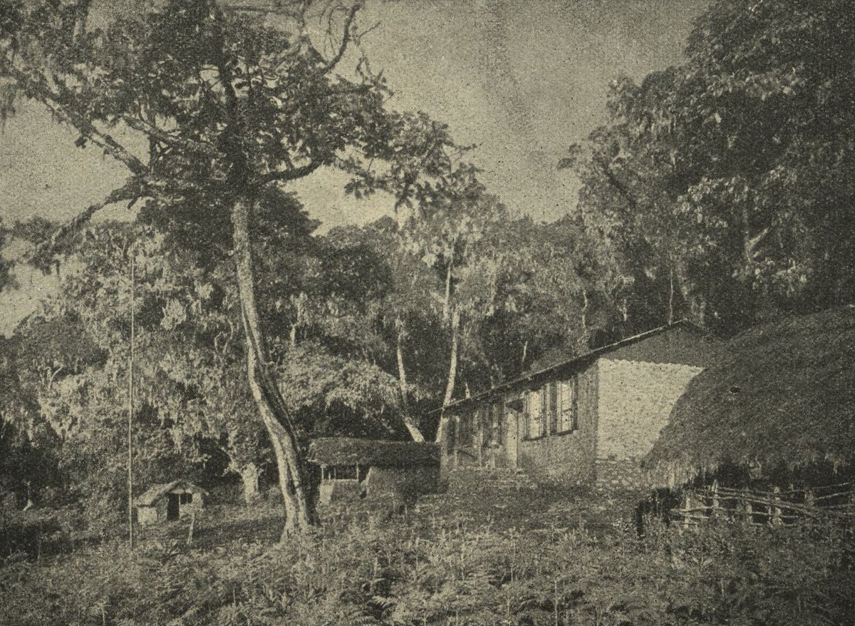 The settler E.T. Foerster sensed the opportunity to profit from mountain tourism. In 1912, he founded a hotel in Moshi. With the help of African workers, he laid out a new trail and built three mountain huts: the Bismarck hut (photo), the Johannes hut, and the Peters hut. 11/