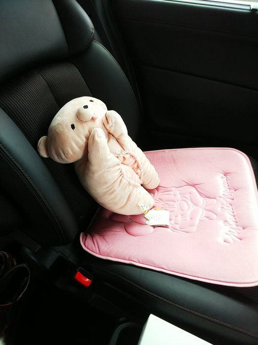 シートベルト着用義務 