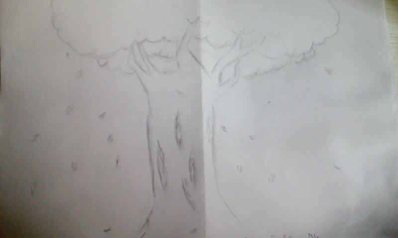 Lisa Suga Love You Korea T Co Wdpphomipn Twitter