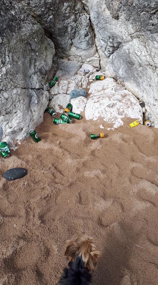 SaraONeillArt's tweet image. THIS is why some people should actually stay in lockdown until they learn some respect and manners. How the hell were these tramps dragged up? We do not deserve this world. We as a species are a complete virus 😭

The beautiful Whiterocks beach in #Portrush 

📸Dave Greehy