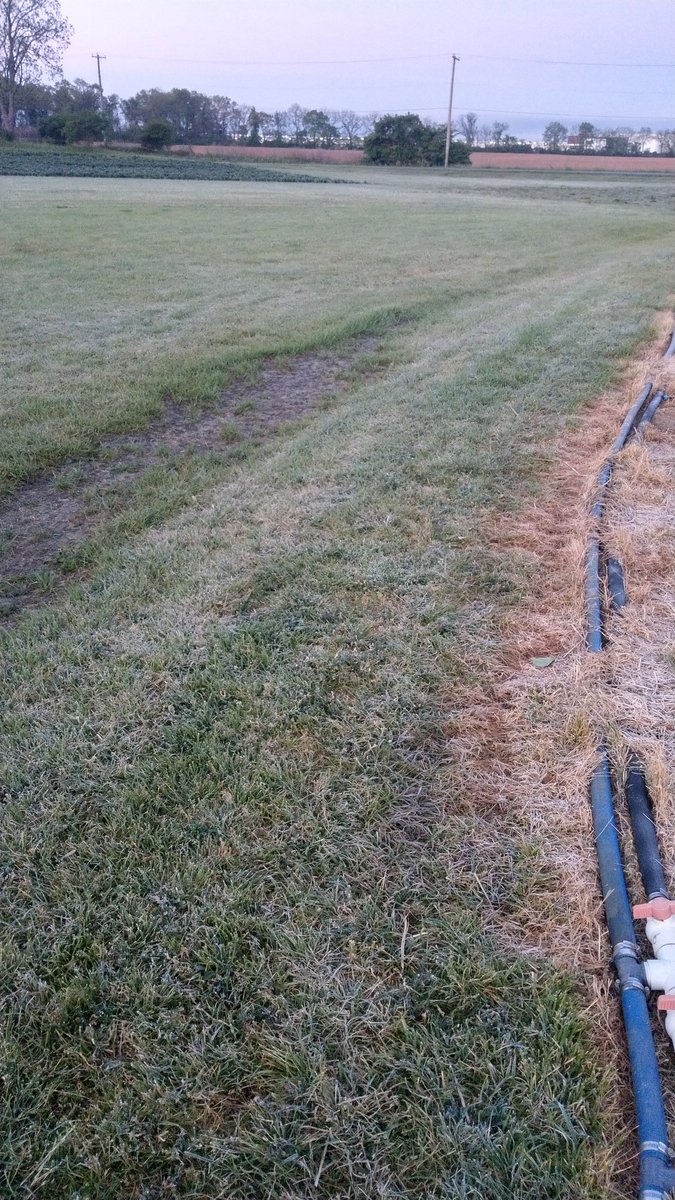 Valley Fruits & Veg tweet media