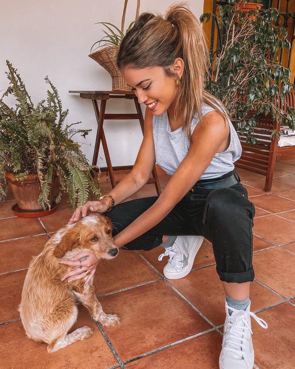 _aitanaR's tweet photo. Este pequeñito se coló en casa. Estaba solito y asustado, tenía mucha hambre y sed. Algún desalmado lo había abandonado a su suerte. No les hagáis eso, por favor. Miren su carita 🥺 https://t.co/HEHX0OVauG