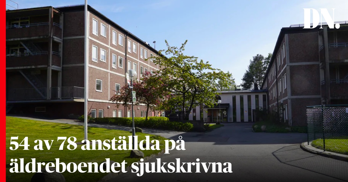 Dagens Nyheter tweet media