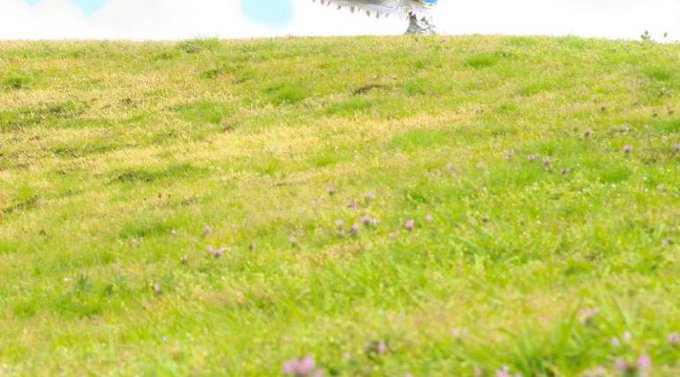 コスプレイヤー由貴のTwitter画像3