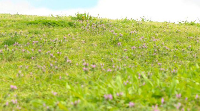 コスプレイヤー由貴のTwitter画像4