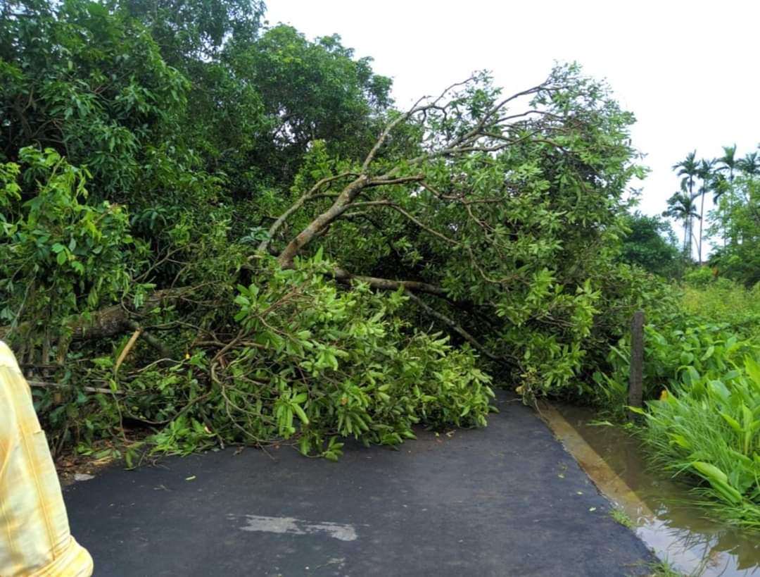 varshaagarwal27's tweet photo. #Amphan_Effect #AmphanCycloneUpdate #AmphanSuperCyclone #AmphanCyclon #AmphanUpdates #AmphanUpdates #Amphankolkata #amphantoofan #Amphan #Amphan_Alert https://t.co/iYzNz3AAoc