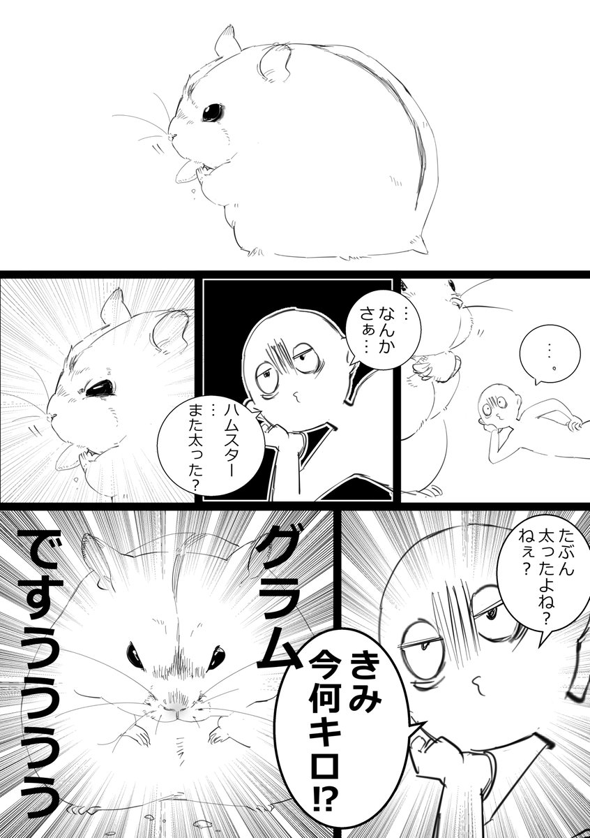 ついキロって言っちゃう。太らせたのは飼い主はむ!
#ハムスター漫画 