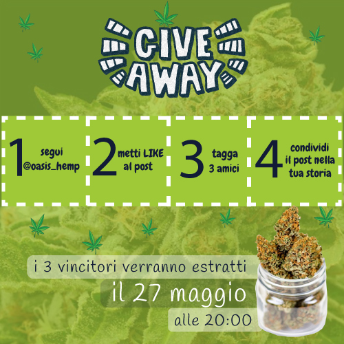 OasisHemp's tweet photo. ⚡️ GIVEAWAY CON PIÙ DI 50 G DI CANNABIS IN PALIO⚡️
Link per partecipare al contest: https://t.co/MRTqBPIsTt

Tantissimi premi in palio con più di 50 g di cannabis light high quality!!! Scorri le foto per vedere i premi.
Per partecipare al contest basta eseguire 4 semplici passi https://t.co/iCTCwrcWhN