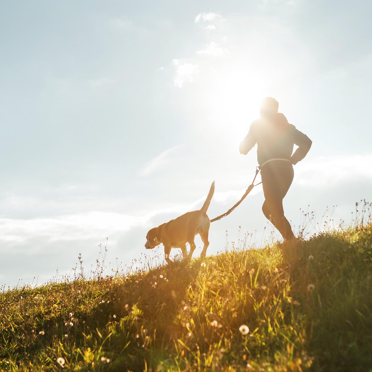UKBicom's tweet photo. Exercise for Cancer Patients - a health boost for those who need it most | bicomUK https://t.co/uKzXknVgiS #cancer #exercise #support #recovery #cancertreatment #bioresonance #Bicom #holistic #noninvasive https://t.co/risI0B9TnM