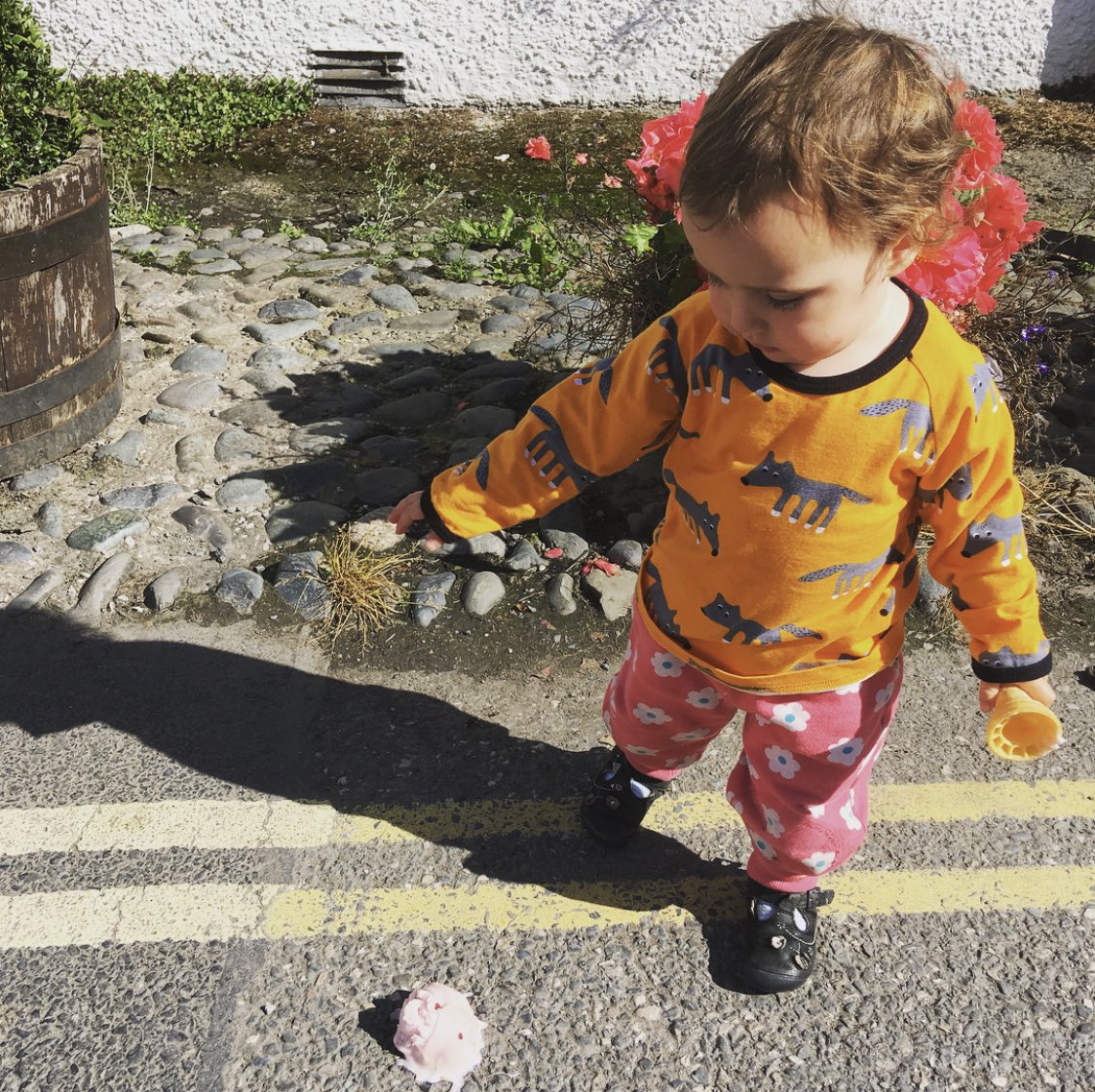 Our plans                        2020