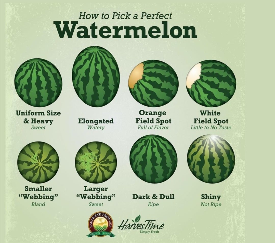 BK_STS's tweet photo. Most of us are dependent on the mercy of "Fruitwala" for choosing a sweet Watermelon. ๐๐ผ I hope this will help my fellow brothers and sisters.
Enjoy๐๐
#thursdaydelight https://t.co/C0q7FovAKH