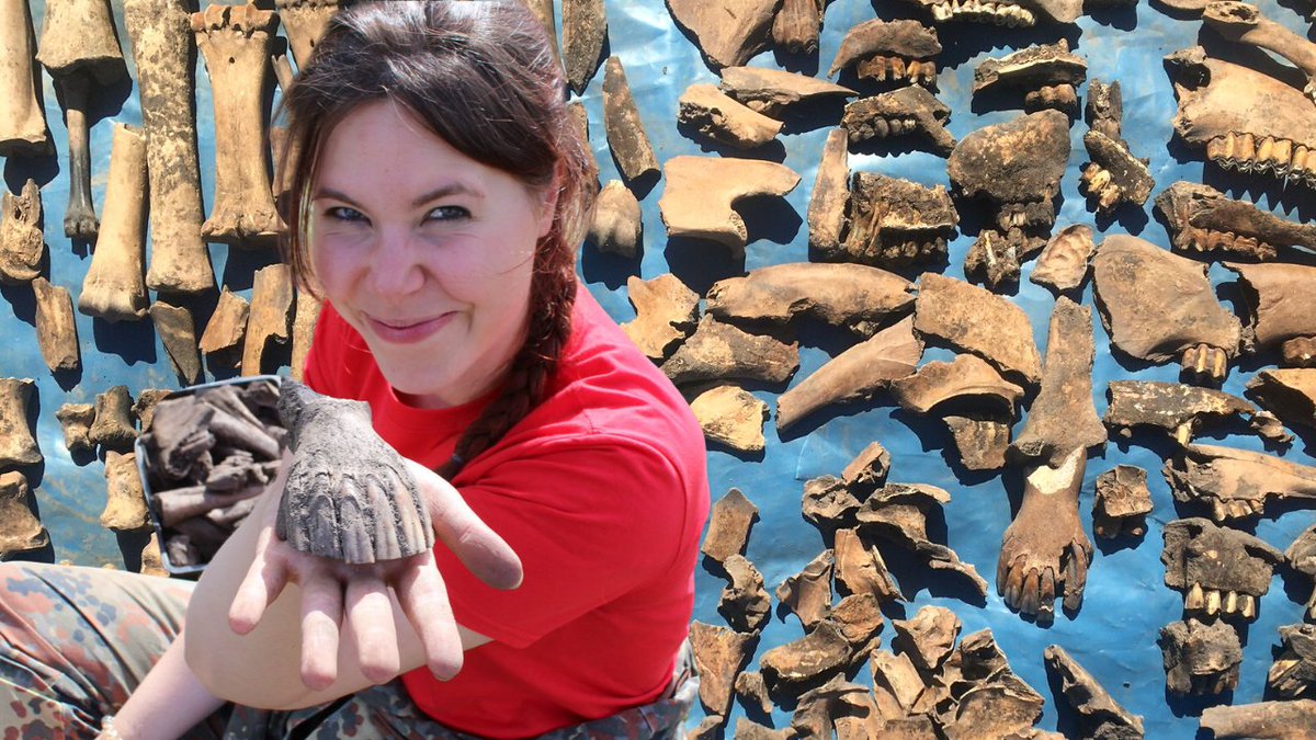 TheDigVenturers's tweet photo. Why do archaeologists love animal bones? Find out in our next online workshop at 3pm BST this Friday!
๐ฎ See some bones from our recent dig at @earth_trust
๐ท Find out what secrets they can reveal
๐ถ Learn to identify them while you watch!
๐ https://t.co/aBrBrOCKei https://t.co/ApoMVE5HH1