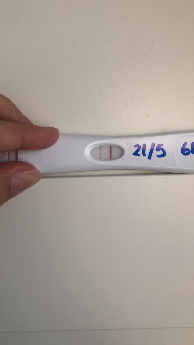 Mamarramiau1's tweet photo. Si es que no me puedo resistir... #Texperiemento #6DPT Esto parece que sigue subiendo. Como siga subiendo así la beta va a ser altita!! Estos son predictor early. Al final la beta para el 28. https://t.co/YCMurvbuKh