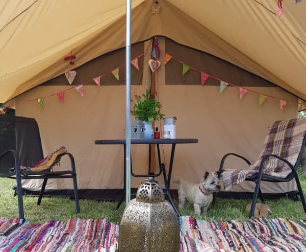 TOGWalks's tweet photo. Camping indoors. 
It’s estimated that around 1.2 million people go camping each year in the UK. Check out our tips here: https://t.co/4j8T6pIbYv
@CampAndCaravan
 @OSleisure
 @Outwelltents
 @MarquisLeisure
  @EBwatches 
@AccessTOG 
 #getinsideoutside https://t.co/C2vg92i4si