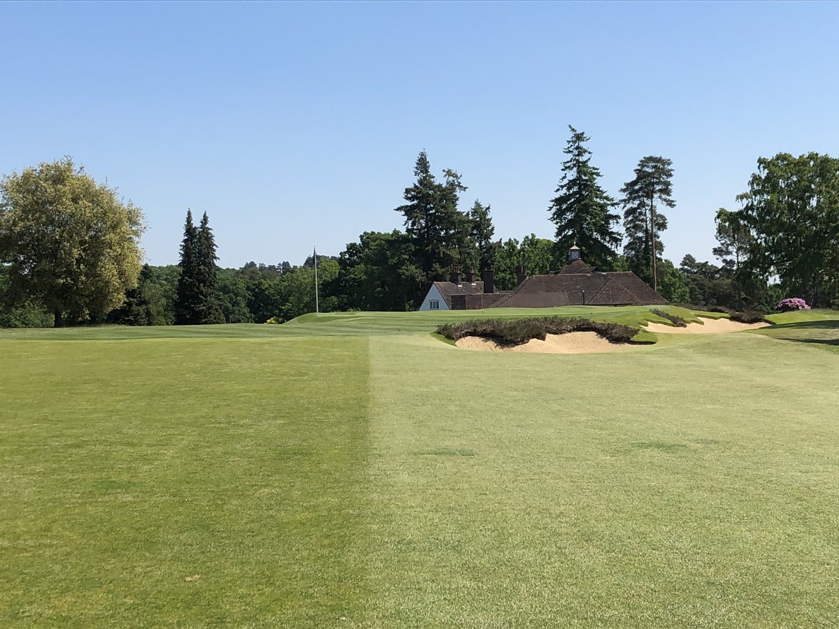 Brad Annels tweet media