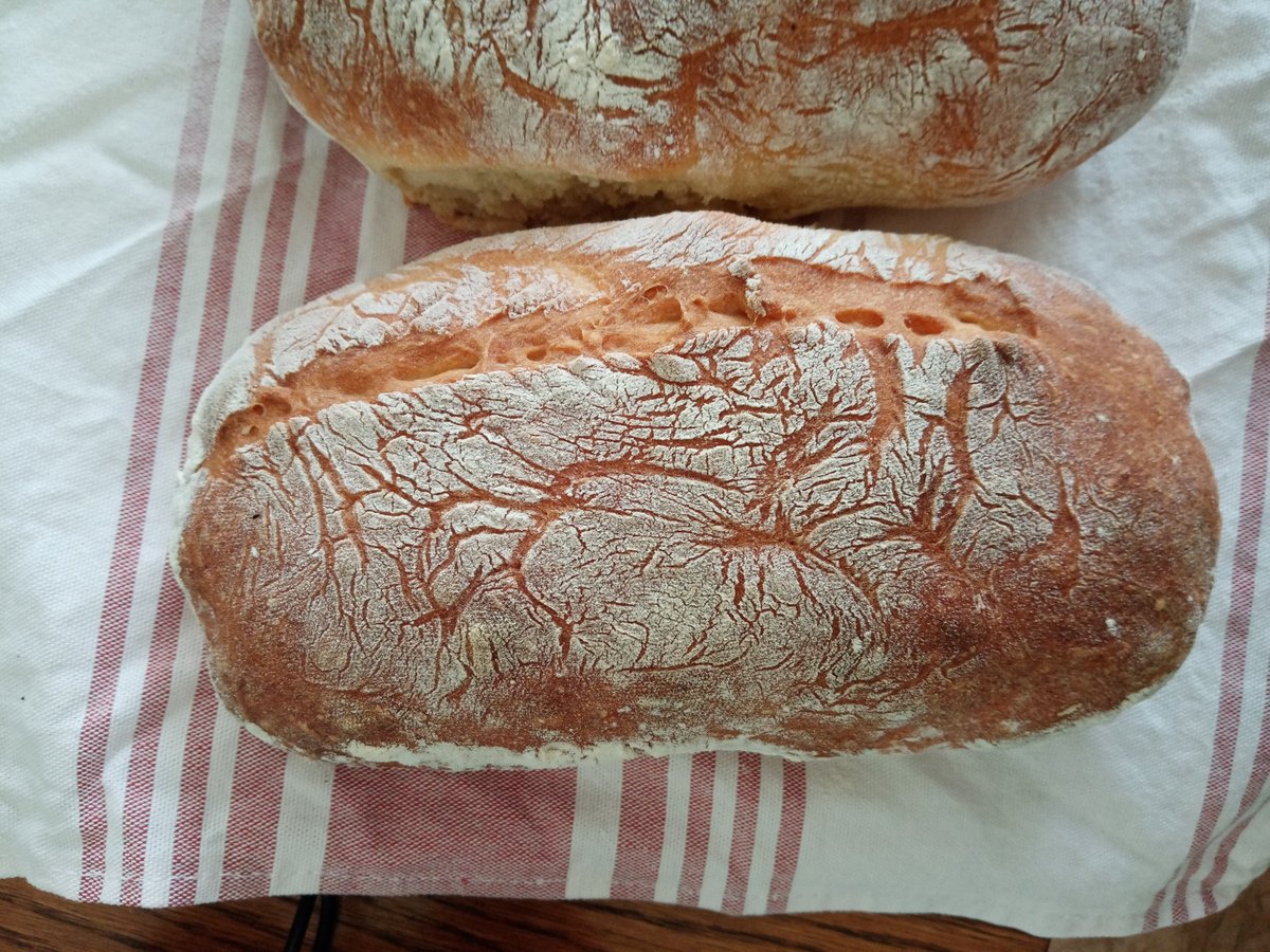 alberich_93's tweet image. Слипся (надо было делить на две булки) и не очень хорошо вымесил тесто (не удалось сделать ровные разрезы). #crumbshot сделаю когда остынет

#painrustique