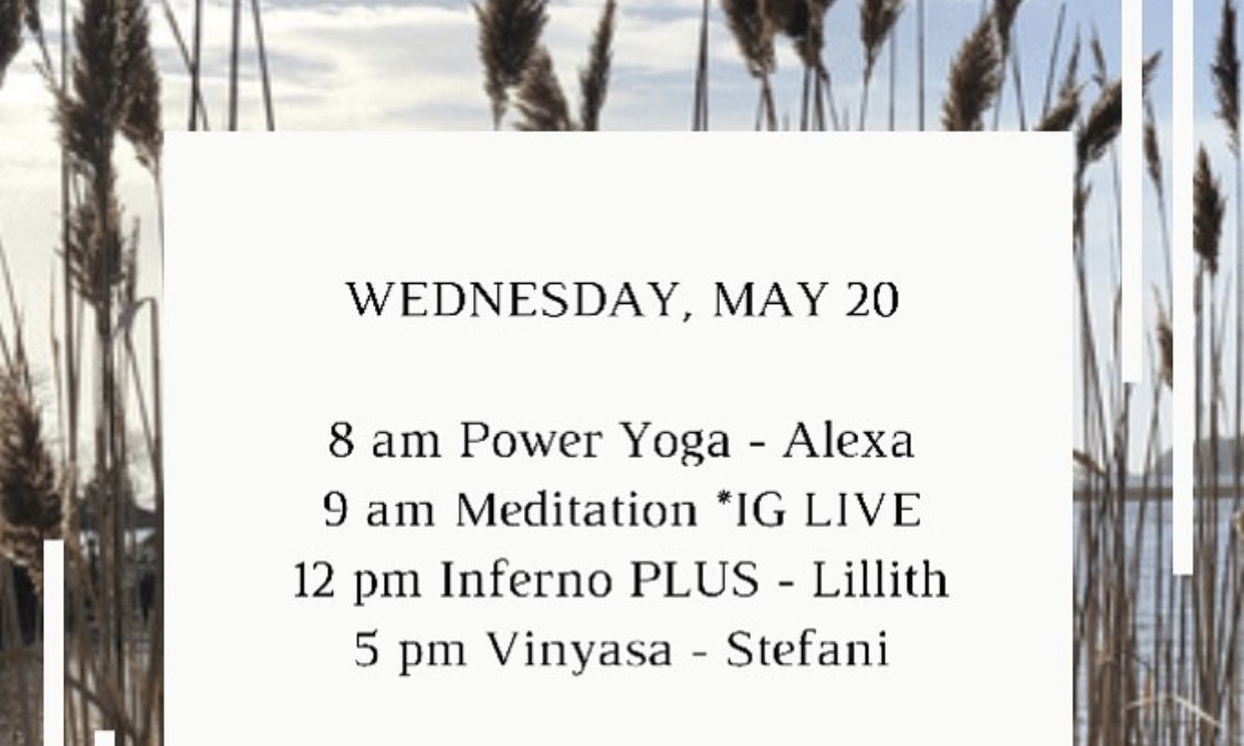 More live #yoga #hotpilates.. as little as $3 a class!
yo-bk.com/schedule