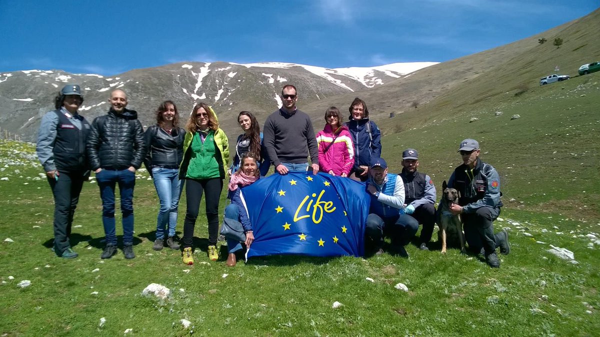 LIFEprogrammeIT's tweet photo. #HappyBirthdayLIFE 28 years well spent in nature conservation 🦦🦎  #Lifeprogramme #nature2000Day https://t.co/B43JD2EYuB