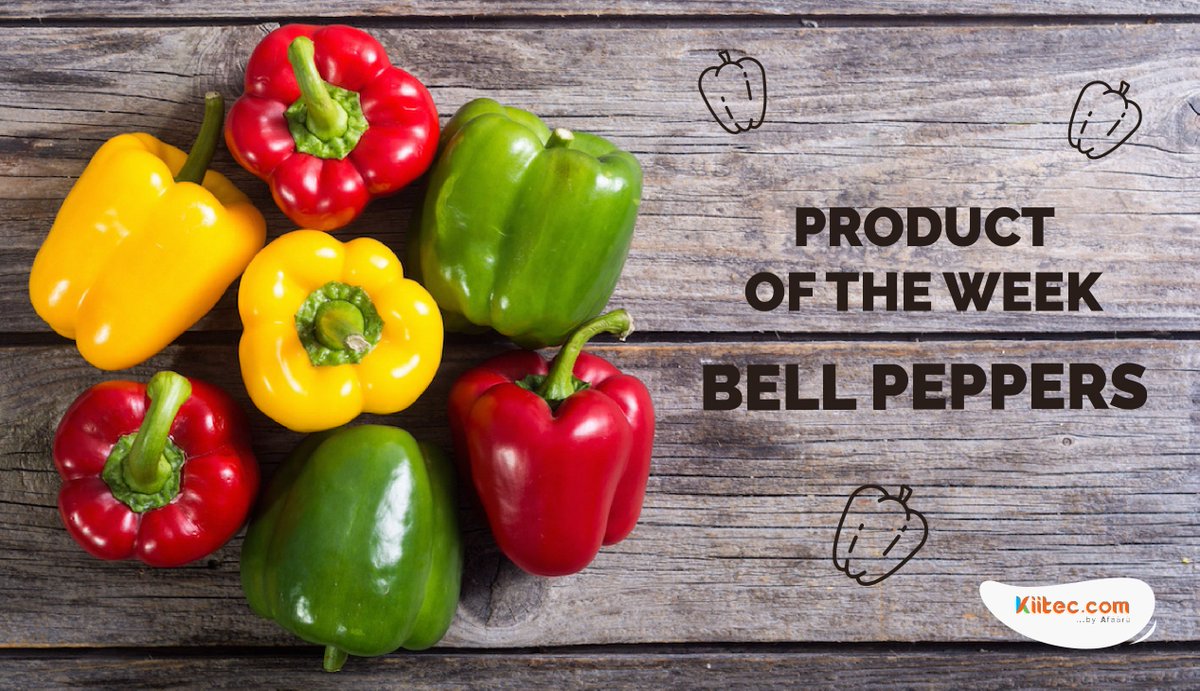 Kiitec__NG's tweet photo. Do you know that Bell Peppers contains lots of carotenoids, which when consumed reduces the risk of visual impairments?

So it is very advisable to use Bell Peppers in preparing your daily meals!

Learn more:
https://t.co/m1DJC2IKCD

#lockdownlevel3 #bbnaija2020 #stayhomestaysafe https://t.co/tIIJ4ZEBv4