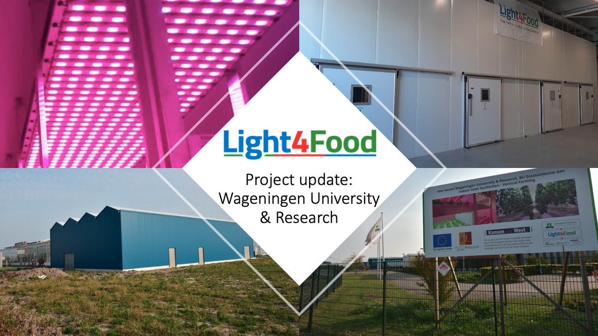 Light4Food's tweet photo. Project update: indoor growing research facilities at @WUR  starting up this week #indoorfarming #indoorgrowing #horticulture https://t.co/XNt7wXAEW1