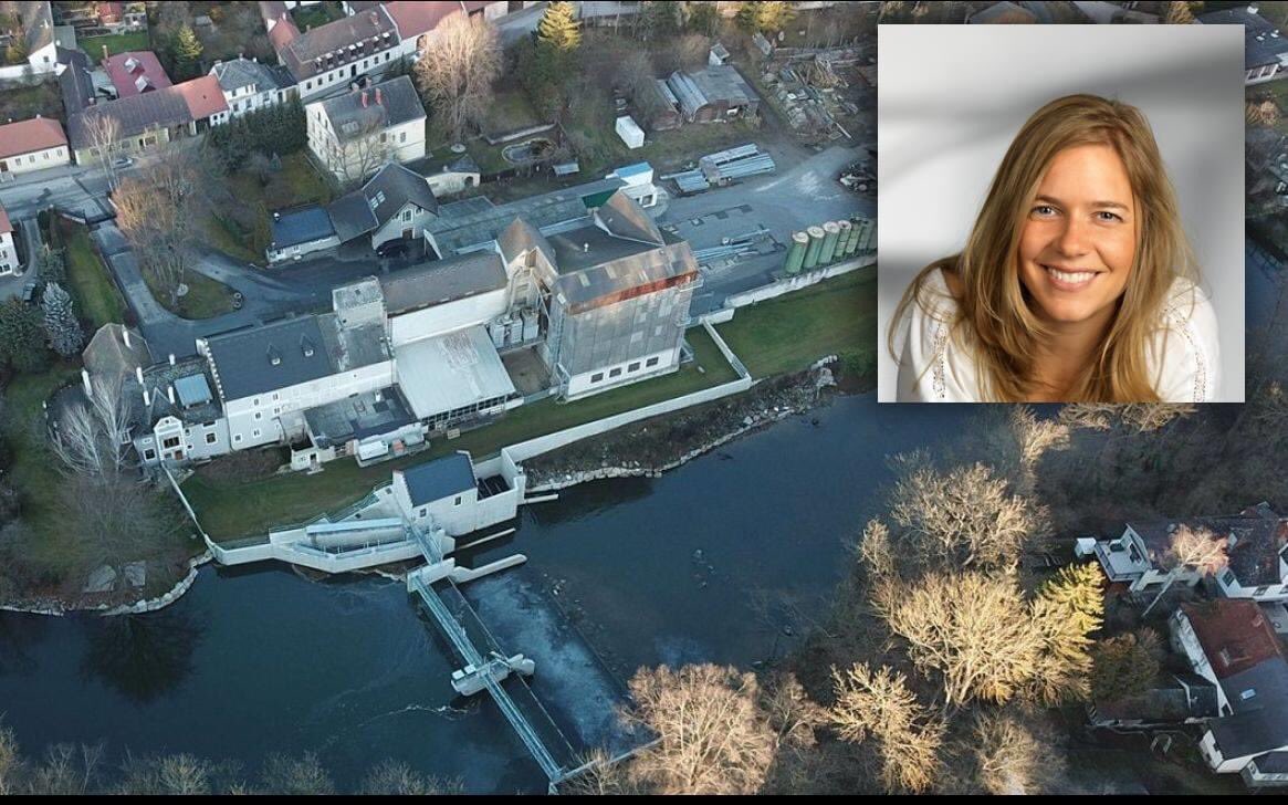 eFRIENDSenergy's tweet photo. Mahle, Mühle, Wasserkraft! eFriends LIVE heute um 18:30 mit Lisa Dyk, energiereiche Müllerin, eFriend, Pionierin, Unternehmerin der Dyk Mühle:
https://t.co/mvMQmWID21
#wasserkraft #oekostrom #teambesser #besserewelt #muehle #mahlen https://t.co/EvHx2yDvgc