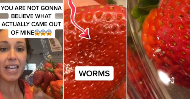 rodryanshow's tweet photo. Watch What Happens When People Wash Their Strawberries in Salt Water?

https://t.co/RSR8BgSxgt https://t.co/irXvCbSJqb