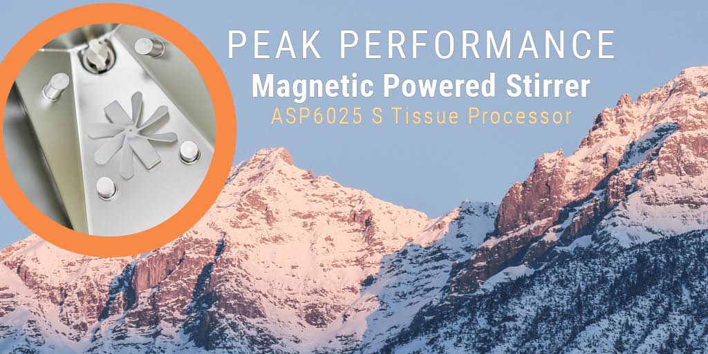 LeicaBio's tweet image. Magnetic Stirrer Technology Designed to Optimize Tissue Processing Performance
#tissueprocessor #leicabiosystems
leicabiosystems.com/histology-equi…