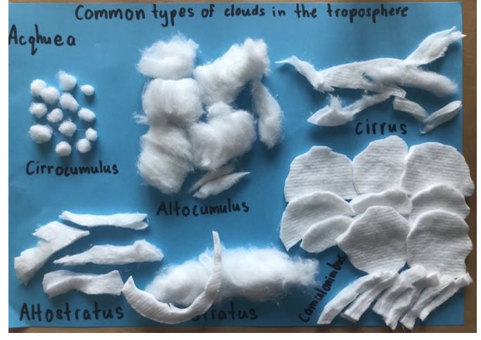 Year 7 | The Arbor School tweet media