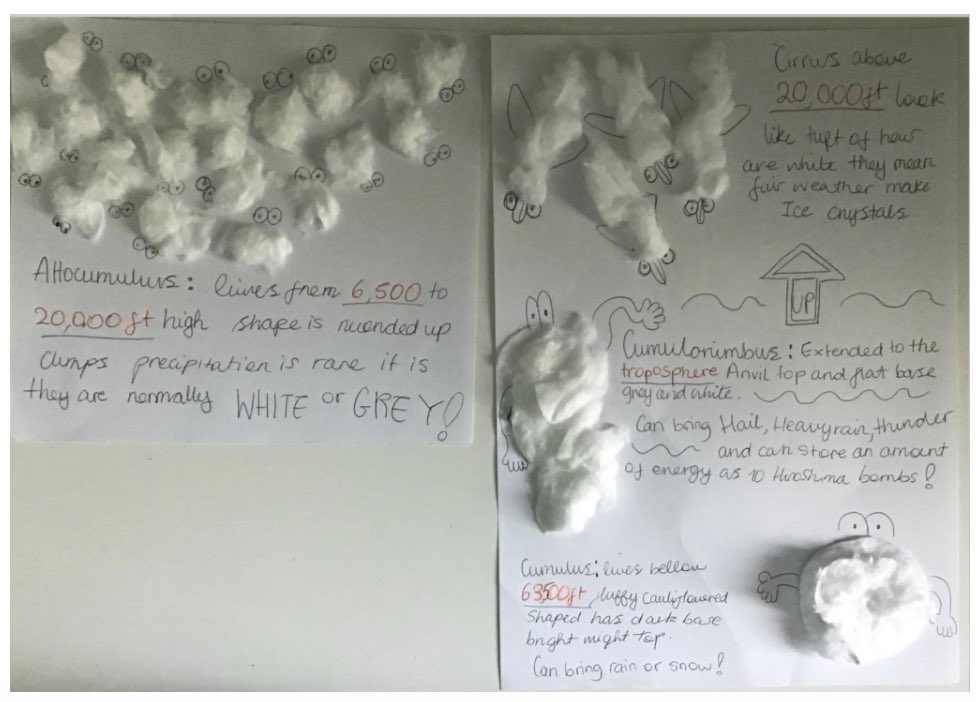 Year 7 | The Arbor School tweet media