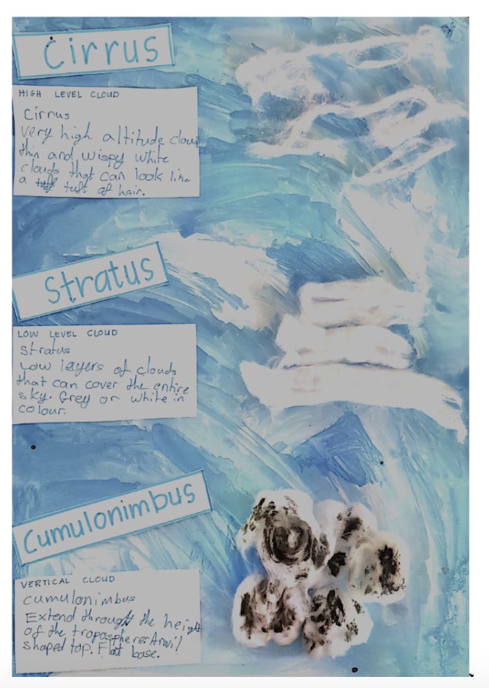 Year 7 | The Arbor School tweet media