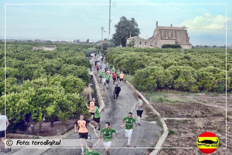 xivilongo's tweet photo. #MinistrodeCensura por insignificante que sea la fiesta del toro es cultura y tradición en cada rincón de España. En la pedanía de Santa Bárbara en Burriana (Cs) viven el toro sin límite. @culturagob @jmrdezuribes @ftorodelidia https://t.co/PxAaKnRSo0