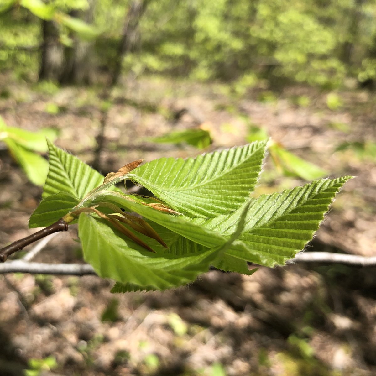 For the 
promise
this day
holds,
I give thanks
to the Lord
#Hope