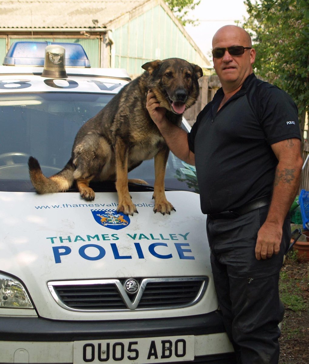 pensions4paws's tweet photo. Happy 15th Birthday to RPD Hawk - what an age and he still looks amazing!!!! https://t.co/YzQxF2m9LC