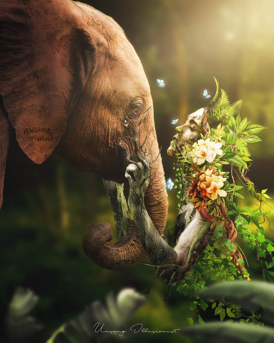 bonti_gogoi1's tweet photo. "Dehing Patkai" also known as Amazon of the East is in danger🌴🌿🍀
Let’s stand together to save Dehing Patkai🤝🤝
#IamDehingPatkai 
#savedehingpatkai https://t.co/fInFfYtXDV