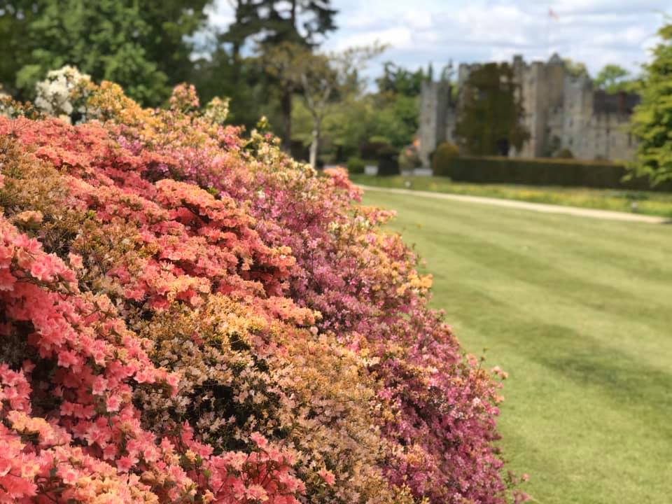 hevercastle's tweet photo. Such a gorgeous day βοΈ #HeverCastle #ThursdayVibes #SpringGardenDays #RHSChelsea #GrowThisSpring https://t.co/ZMyuQTIVch