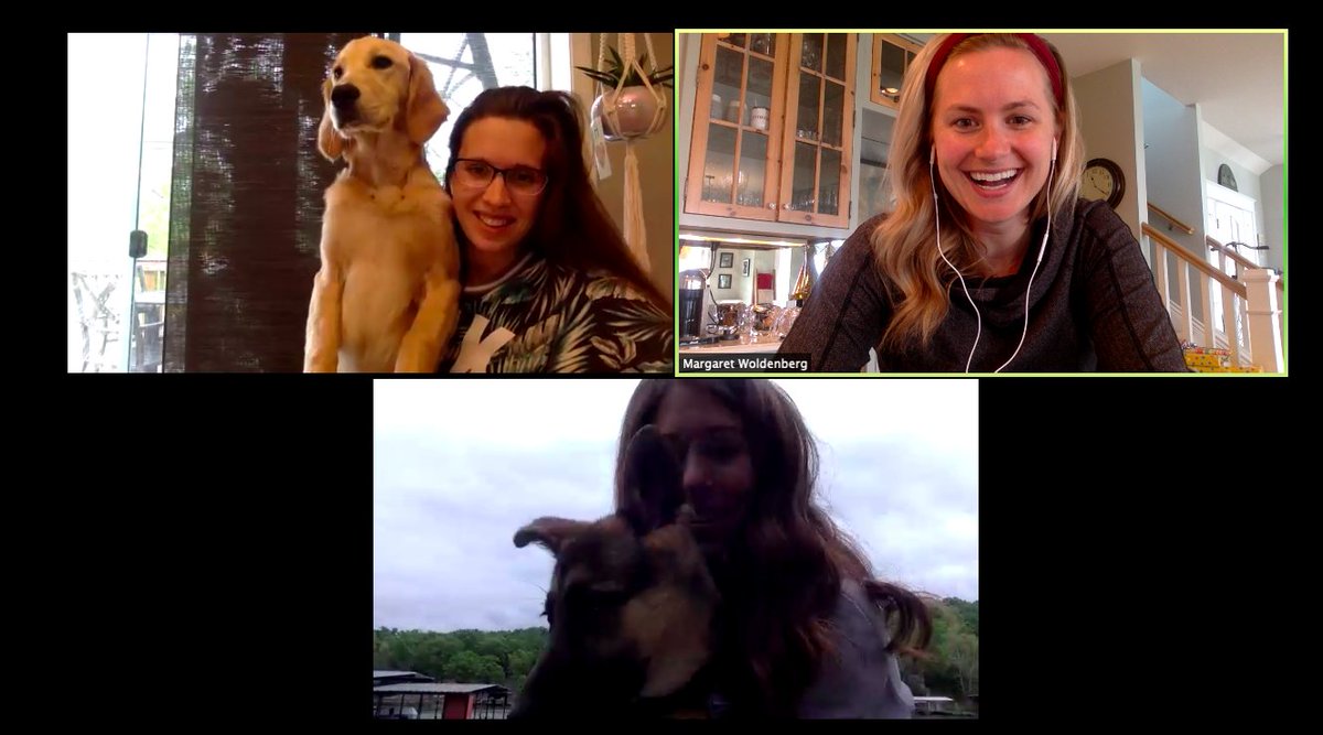 Mrs Woldenberg tweet media