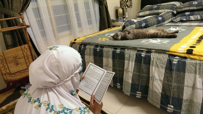 tokderhaka's tweet photo. Membaca yasin untuk anak yang pemalas https://t.co/tHHdNMmTqw