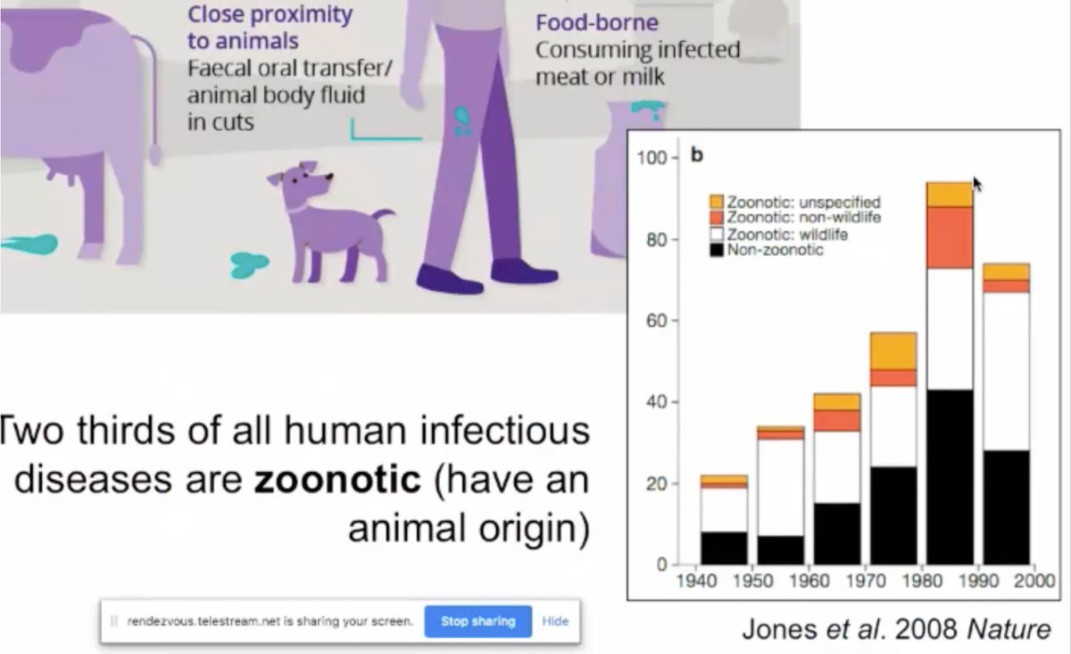 rigonandre's tweet photo. @ucl Prof Kate Jones #ucllhl "2/3 of human infections from animals and continue to increase" one simple solution: go #Vegan protect nature & biodiversity @SustainableUCL https://t.co/MBF1uRxiMA