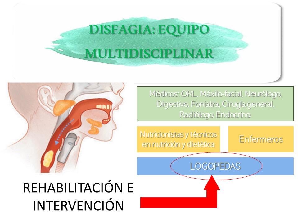 LogoVisibles's tweet photo. Los #trastornos de la #deglución pueden darse desde el recién nacido hasta el anciano y sus causas pueden ser muy distintas. Tales como enfermedades neurológicas, tumores, ausencia de reflejos, malformaciones, etc. https://t.co/3u5pIjjeeb