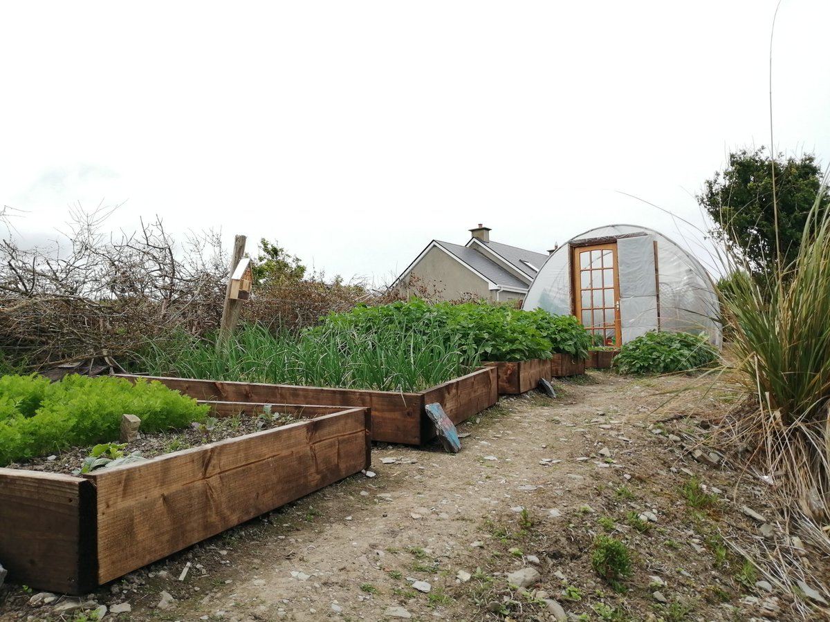 PortmageeWhisky's tweet photo. Checking out the garden with the little Jimmy Murphy. Building and learning for the future, hoping one day as part of our development to have organic tea rooms for our visitors to enjoy food and ingredients grown right here. James #SuperValu #foodacademy @Failte_Ireland https://t.co/psYgTLd02f