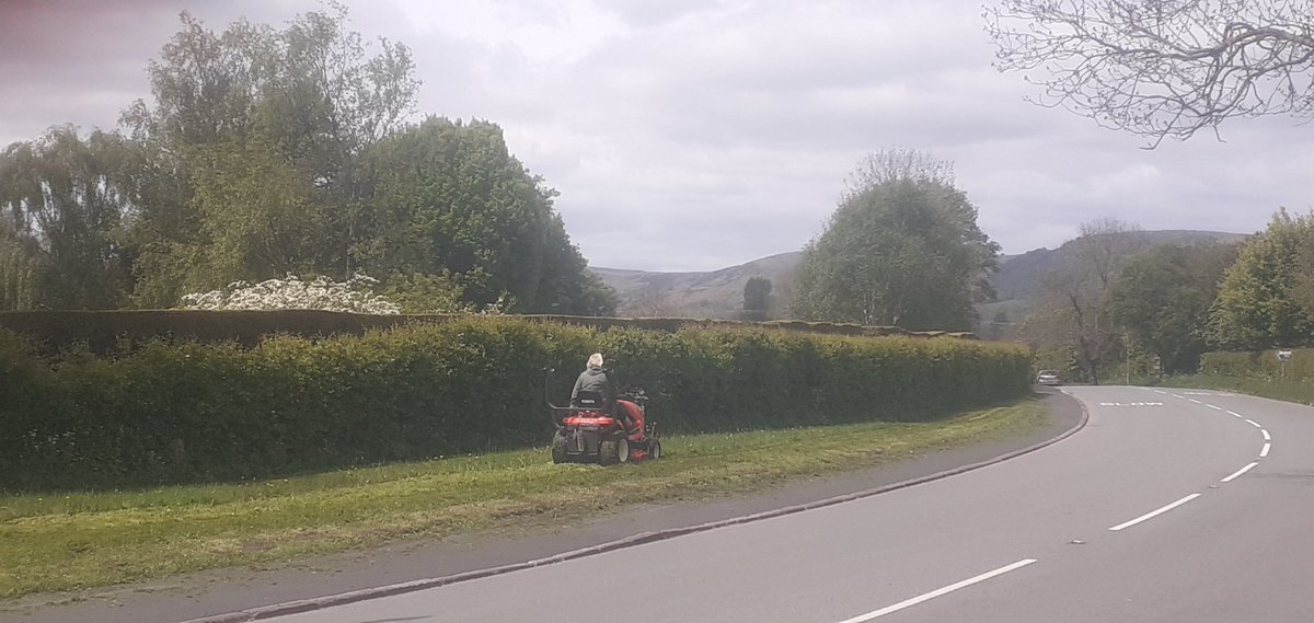 TimBirchWild's tweet photo. Mowers out in Hope Valley Peak National Park! We need radical change way roadside verges managed. Local councils need to be part of solution. We need a #NoMowMay and #wildverges NOT scalped verges  #wildlifecrisis #beecrisis @Derbyshirecc URGENT ACTION NEEDED! https://t.co/endI8LtwVO