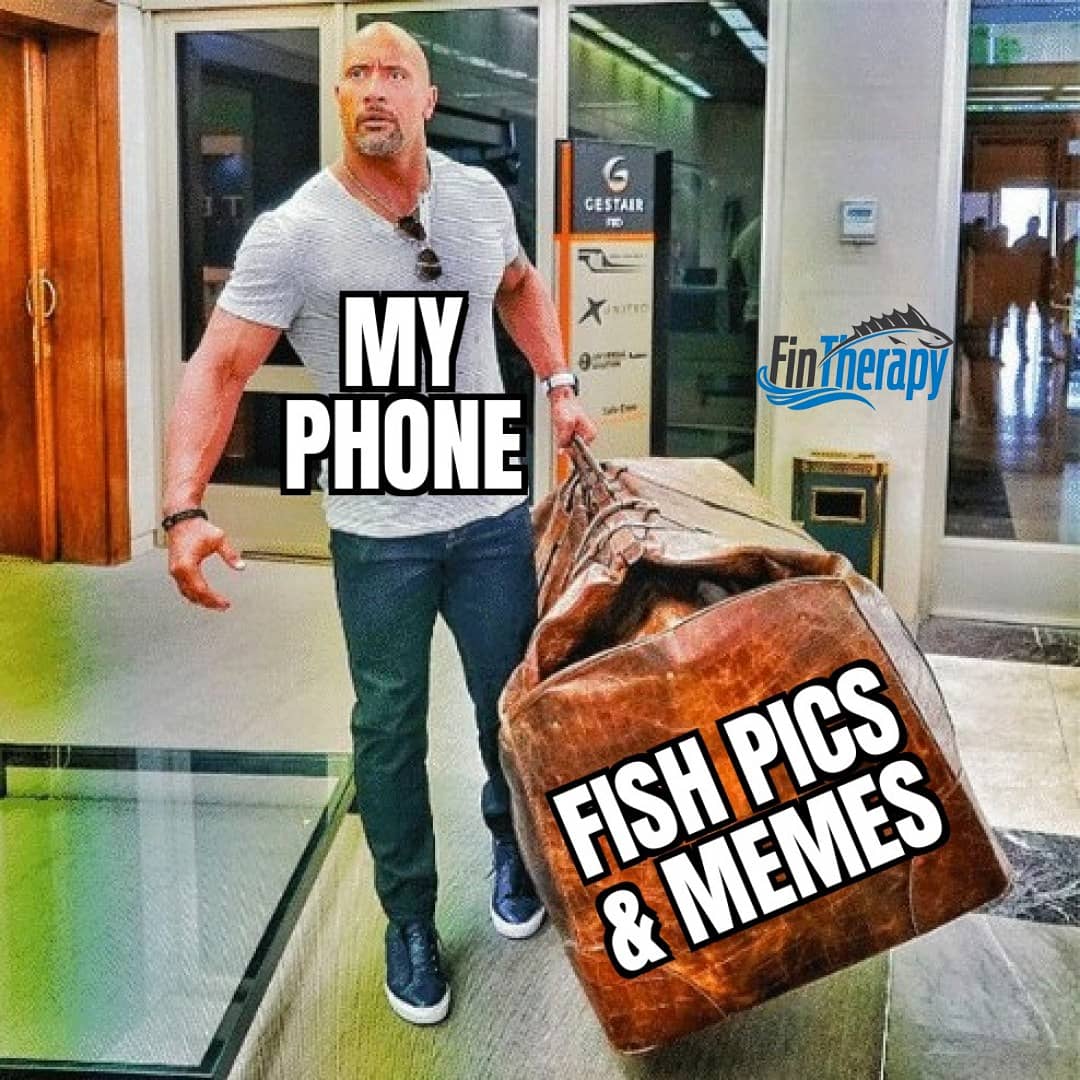 fintherapy's tweet photo. #FinTherapy #fishingmeme #memesdaily #instameme #fishinghumor #fishingfunny #fishing #memestagram #memes #funnystuff #fishinglife #memelife #ilovefishing #funnyshitt #fishingislife #dankmemes #memepage #memedealer #fishpics #memesdaily #funnymemes #fishinglovers https://t.co/hTWQGKabZW
