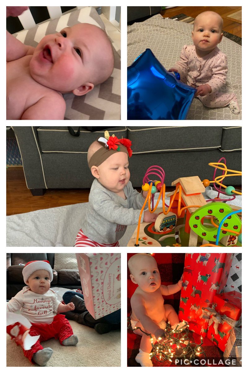 Shane Williams tweet media