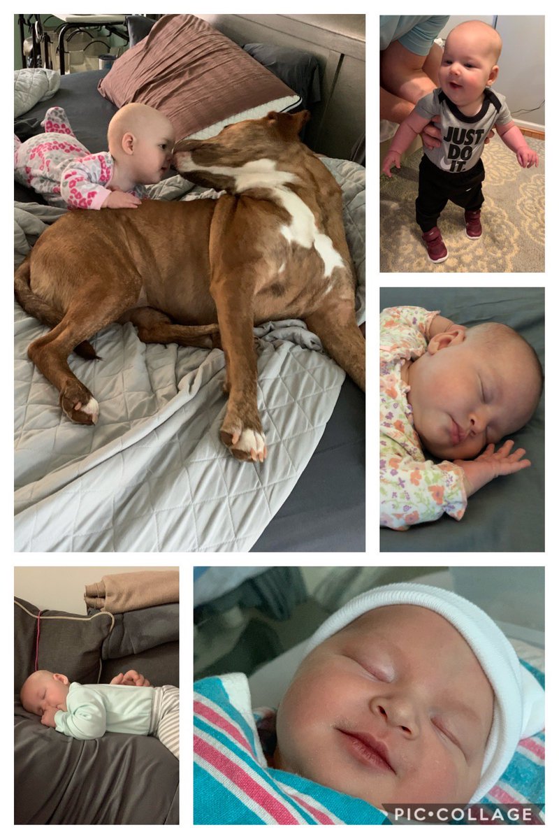 Shane Williams tweet media