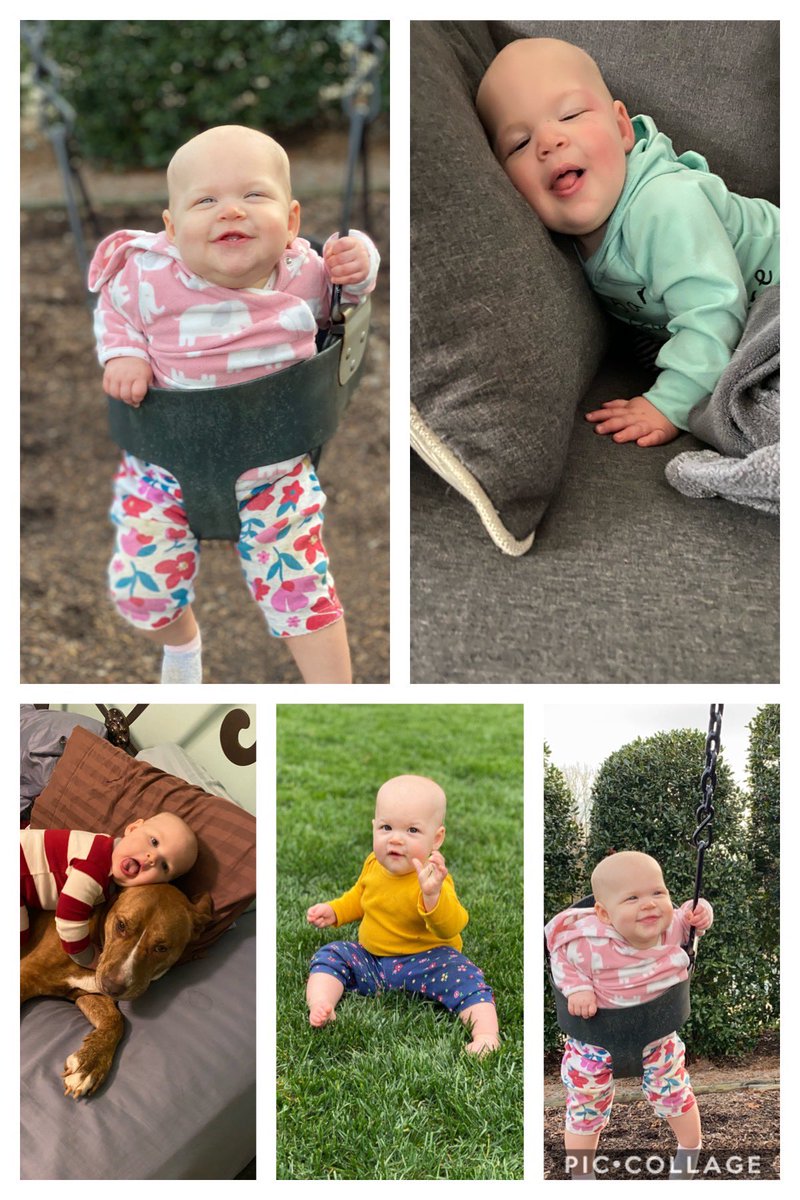 Shane Williams tweet media