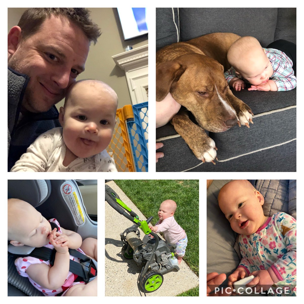 Shane Williams tweet media