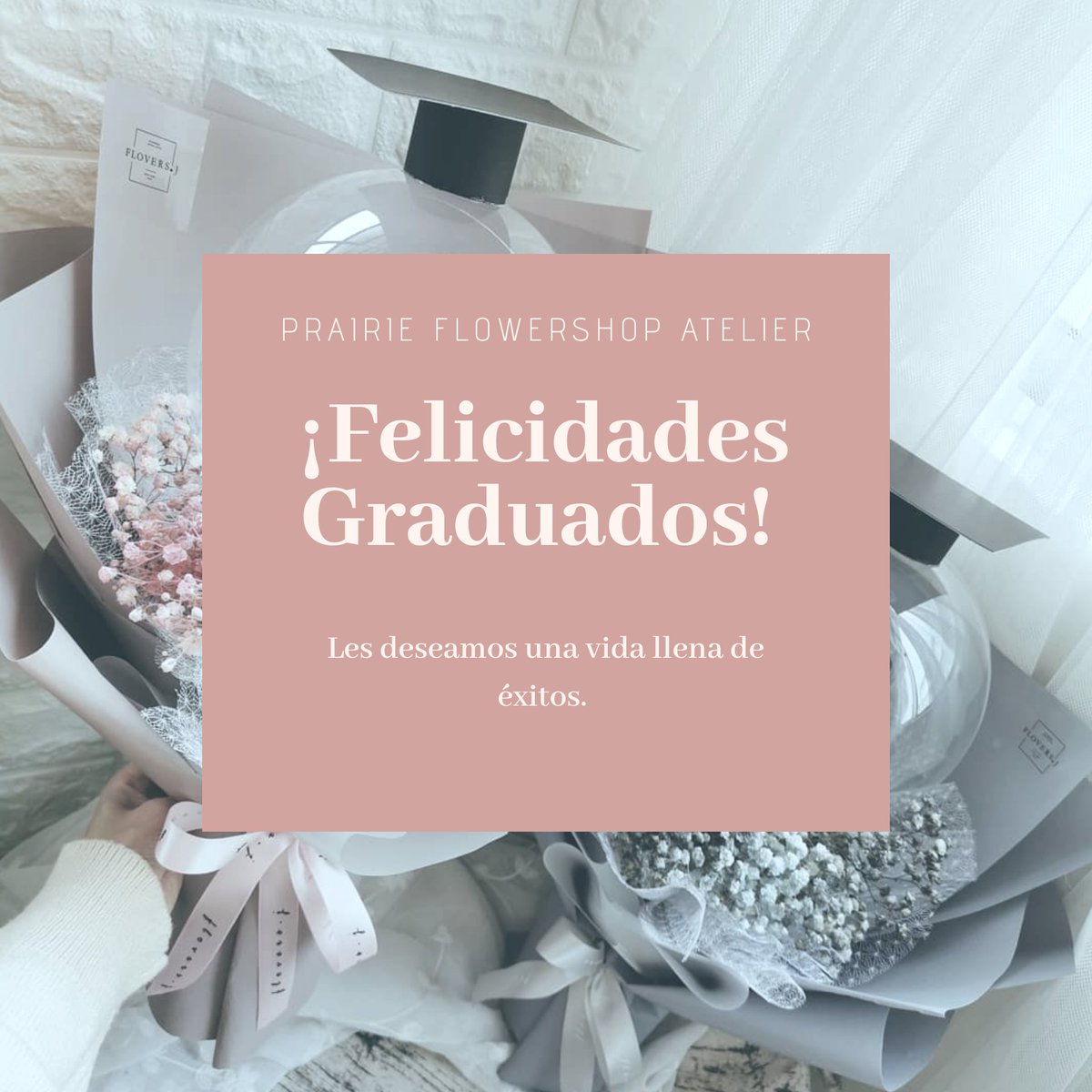 PrairieflowerSD's tweet photo. ¡Mᥙყ ᑲᥙᥱᥒo⳽ ᑯɩ́ᥲ⳽ Mɩᥲຕɩ!🌸🌷

¡E⳽ ᥙᥒ ᑯɩ́ᥲ ຕᥙყ ɩຕρoɾtᥲᥒtᥱ! Dᥱ⳽ᑯᥱ Pɾᥲɩɾɩᥱ extᥱᥒᑯᥱຕo⳽ ᥒᥙᥱ⳽tɾᥲ⳽ ƒᥱꙆɩᥴɩtᥲᥴɩoᥒᥱ⳽ ¡Y Ꙇᥱ⳽ ᑯᥱ⳽ᥱᥲຕo⳽ ᥙᥒᥲ ʋɩᑯᥲ ꙆꙆᥱᥒᥲ ᑯᥱ ᥱ́xɩto⳽! 🌷🌸 https://t.co/NyYDAHwxWb