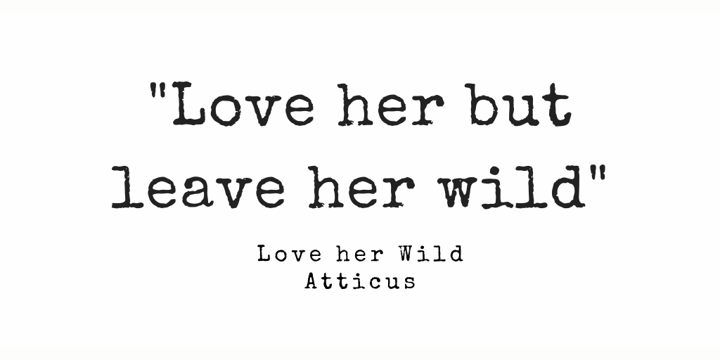 Saskia Norori Mc Saskianororimc Twitter Saskia Norori Mc Saskianororimc Twitter