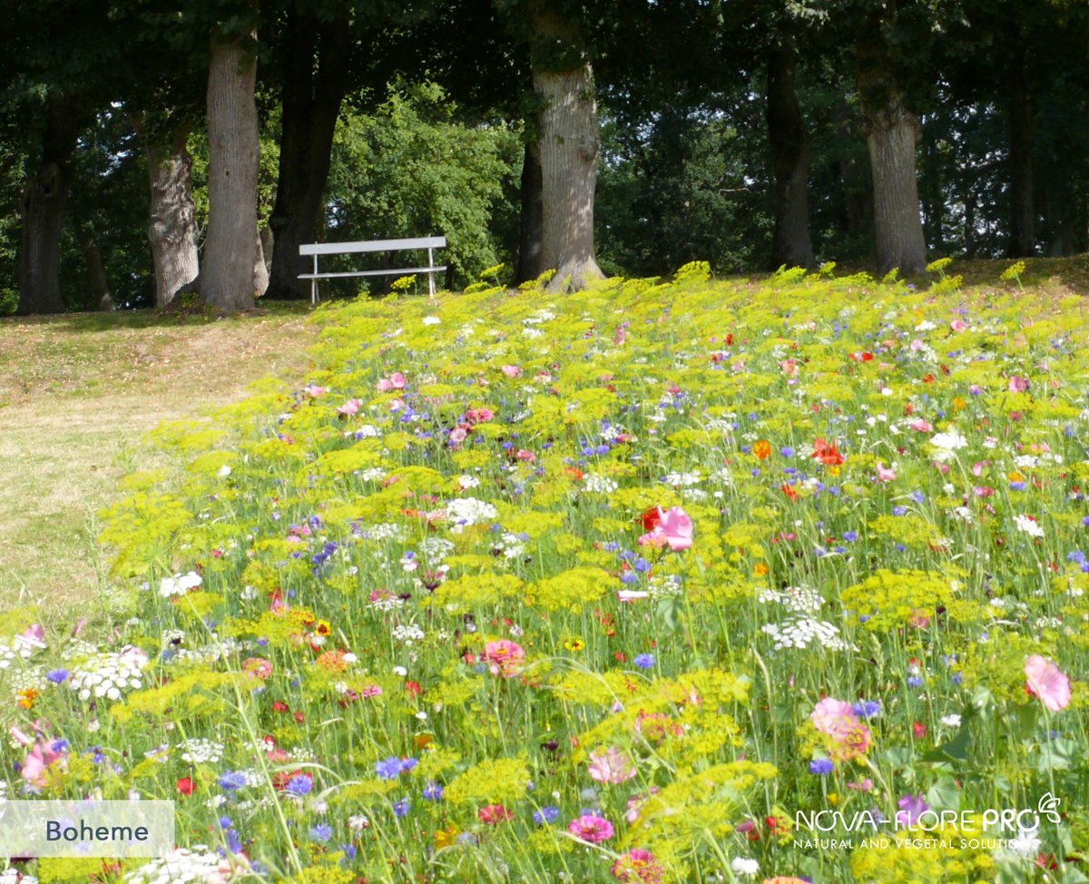 RIerdogan's tweet photo. There's only three days left of the first ever Virtual Chelsea event, but the rest of the summer to enjoy your flower meadows, and still plenty of time to sow... https://t.co/2Cuk9TemlC #RHSChelsea #RHSChelseaFlowerShow https://t.co/cjX2DMCDQs