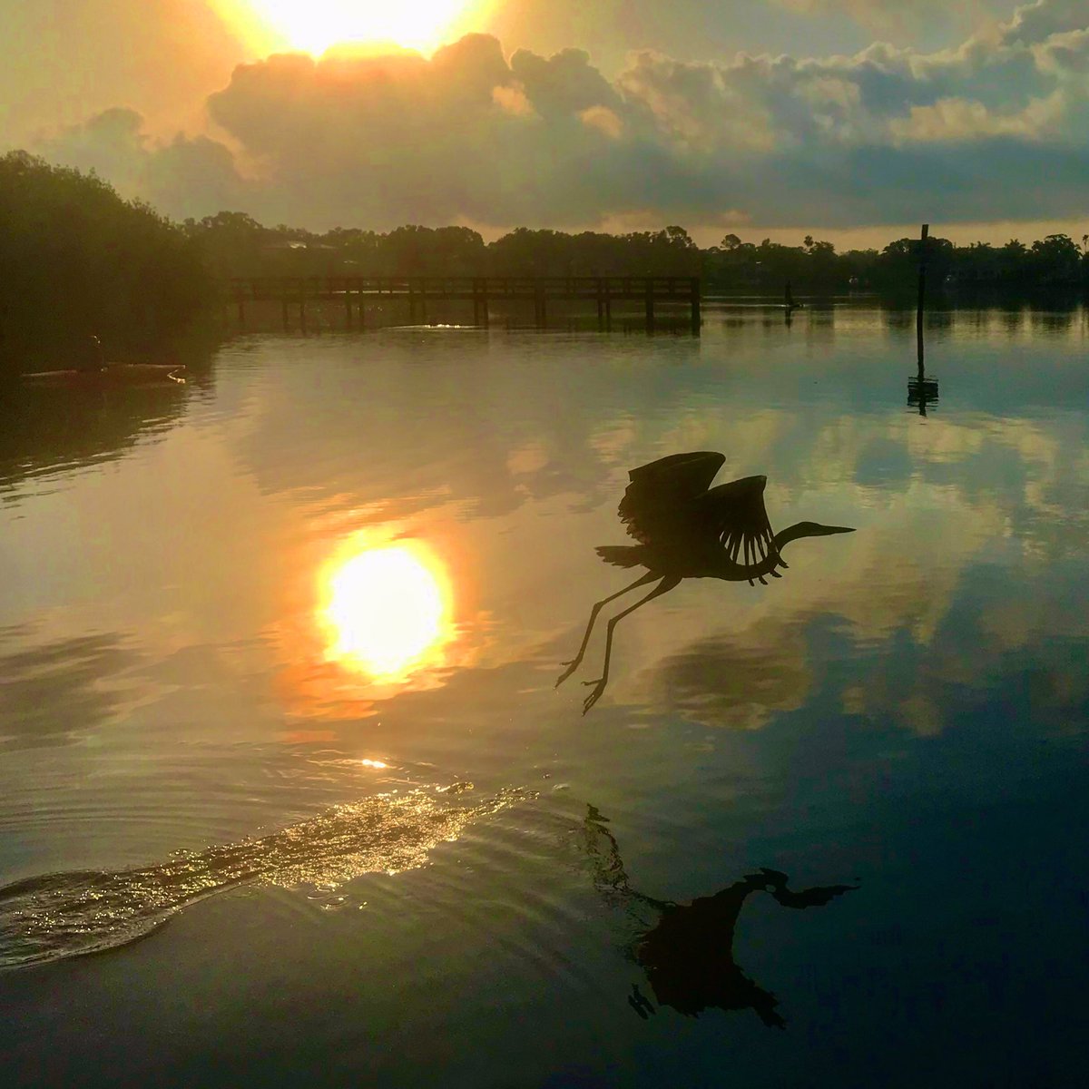 LibraGirlTracy's tweet photo. Morning flight.... π
#keepstpeteshining #stpete #ilovetheburg https://t.co/fBHfc93ZXq